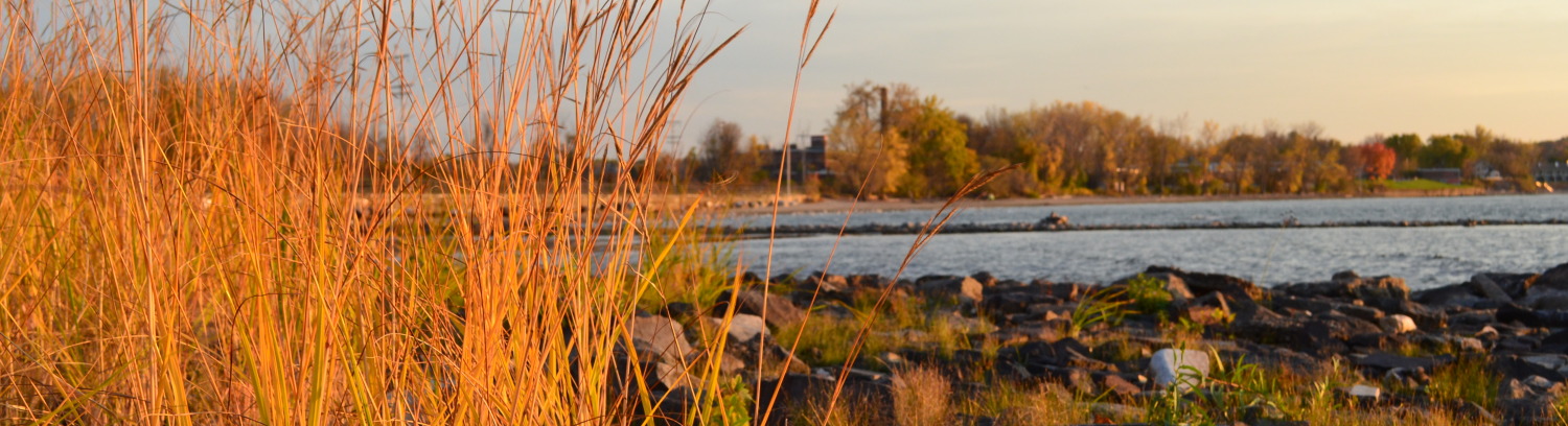 Casey Goldman, LCMHC